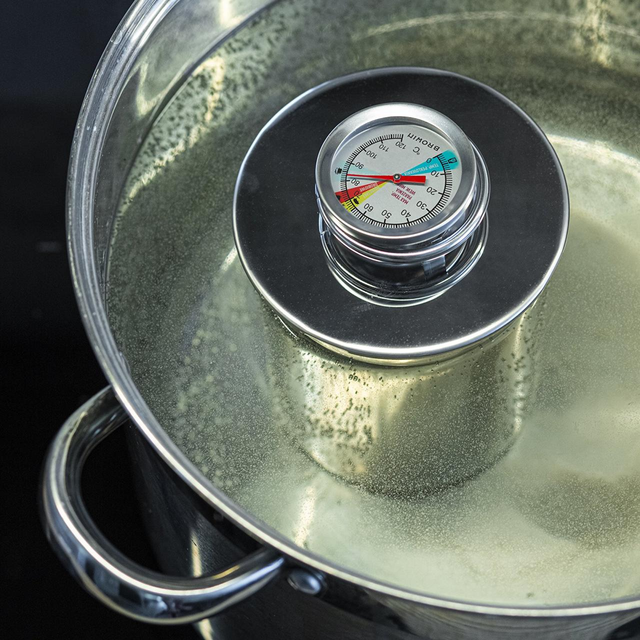 Термометр для шинки 0,8 кг Biowin, фото 1