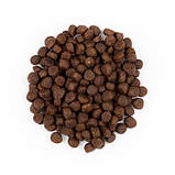 Brit Premium CAT by Nature Cat Kitten сухий для кошенят з куркою 1,5кг, фото 2