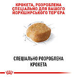 Royal Canin DOG Yorkshire Terrier для собак породи Йоркширський тер'єр 0,5кг, фото 3