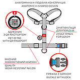 Шлея H-подібна WAUDOG Nylon Кавун з QR-паспортом, пластиковий фастекс М 20мм, фото 5