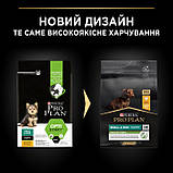 ProPlan DOG Small&Mini Puppy Healthy Start Chicken для цуценят малих порід з курко 0,7кг, фото 4