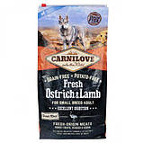 Carnilove DOG Fresh Ostrich & Lamb для собак дрібних порід ягня та страус 6кг, фото 4