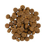 Savory DOG Adult All Breeds rich in Fresh Duck & Rabbit для всіх порід зі свіжою качкою й кроликом 12кг, фото 3