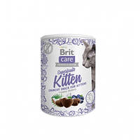 Brit Care CAT Snack Superfruits Kitten Ласощі для кошенят з куркою кокосом і чорницею 100г