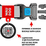 Нашийник для собак нейлоновий WAUDOG Nylon з QR паспортом, малюнок "Вітраж", пластиковий фастекс, Ш 15 мм, Дов, фото 4