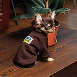 Толстовка Pet Fashion "Made in Ukraine"для собак,розмір S шоколадний PR243120 Pet Feshion, фото 3