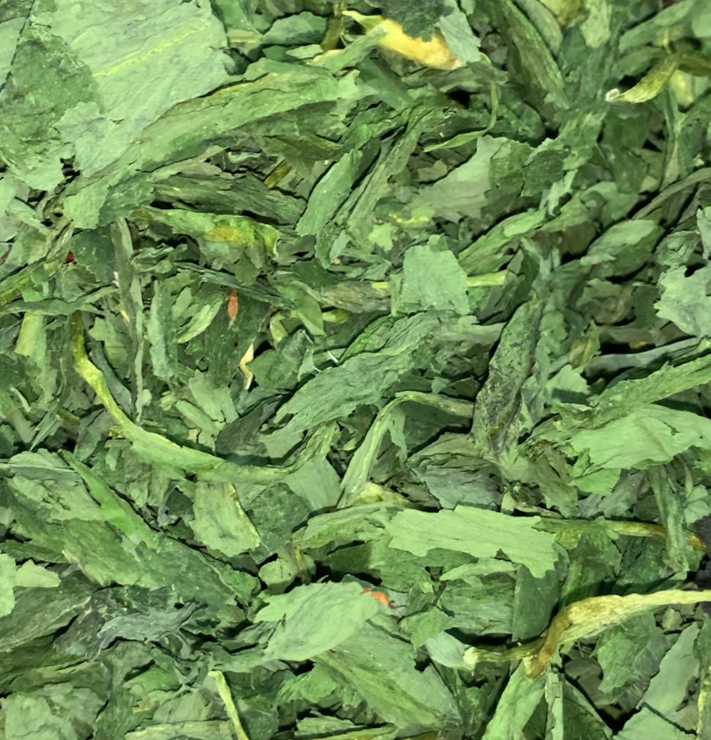 Черемша лист дикий часник 100 гр Карпати 2025 р, фото 1