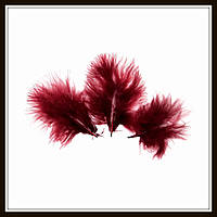 Пір'я натуральне бордове (10 штук)