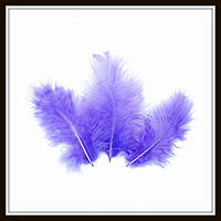 Перья натуральные светло-фиолетовые (10 штук)