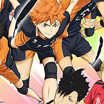 Плакат "Волейбол (аніме), Haikyu!", 60×43см, фото 2