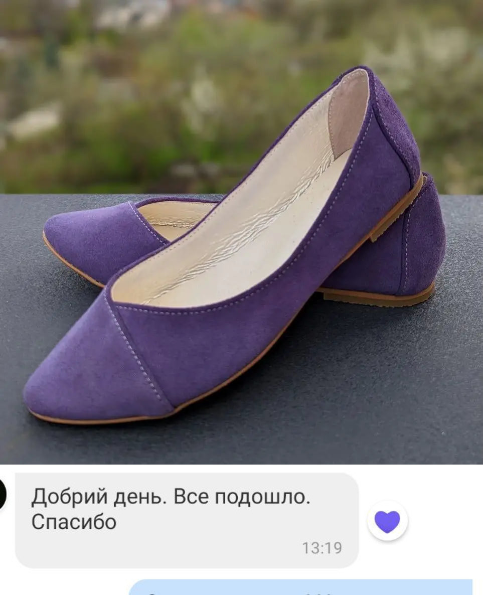 Відклика Балетки 166-3641
