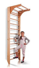 Шведські стінки