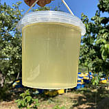 2025 р Мед Акацієвий з білої Акації 1 л рідкий натуральний з сімейної пасіки 1400 грам, фото 3