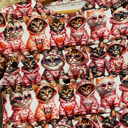 Дитяча футболка котики в худі Five Stars 10808-98р, фото 2