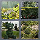 Тример-кущоріз акумуляторний Multi-Functional Scissors 9343 7.2В, зелений, фото 7