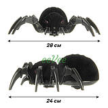 Павук на радіокеруванні пускає пар зі світлозвуковими ефектами (60569), фото 6