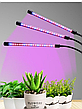 Ультрафіолетова лампа для рослин j22wl-03 LED LIGHT Повний спектр 3 голови LED, фото 8