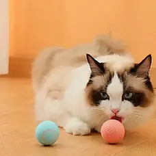 Іграшка для кішок Stress Cat/ Кулька із силовою гравітацією, який сам катається для котів і кошенят LY-599, фото 2