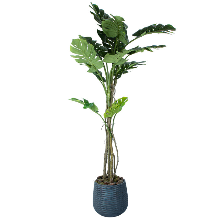 Штучна рослина Engard Monstera 180 см в кашпо (TW-0587-1), фото 1