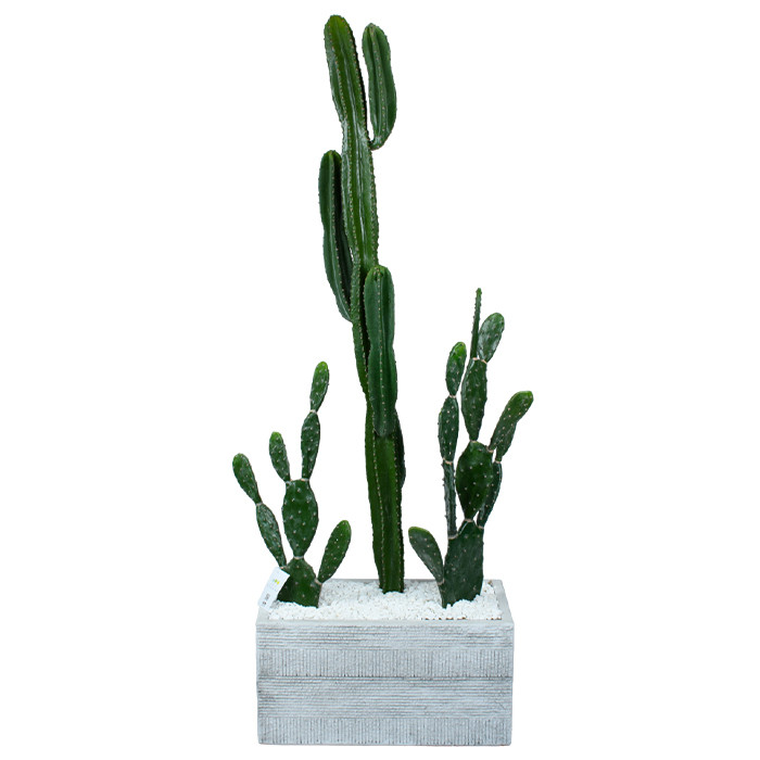 Набір штучних рослин Engard Cactus в кашпо (TW-40414268-1)