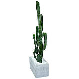 Набір штучних рослин Engard Cactus в кашпо (TW-40414268-1), фото 2