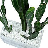 Набір штучних рослин Engard Cactus в кашпо (TW-40414268-1), фото 3