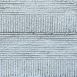 Набір штучних рослин Engard Cactus в кашпо (TW-40414268-1), фото 5