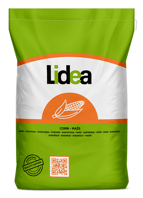 Насіння кукурудзи ЕС Метод Lidea - ФАО 380