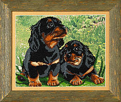 Схема для вишивки бісером Дружба Т-006 (габардин)