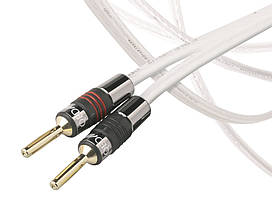 QED Signature Revelation 50m