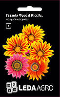 Насіння газанії Фрості Кісс, 5 шт., суміш ТМ "ЛєдаАгро"