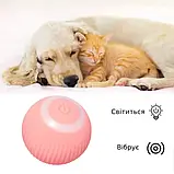 Інтерактивна іграшка для кота Розумний м'яч для кішок Pet Gravit Кулька інтерактивний PVC pet ball, фото 2