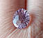 Аметист 2.45 Cts  10 х 8 х 6 мм, фото 7