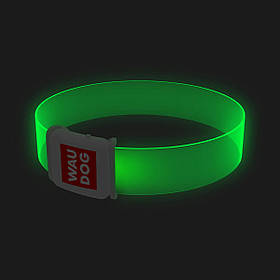 Нашийник для собак з підсвічуванням WAUDOG LED