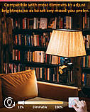Вінтажні великі глобусні лампи Bonlux G125, світлодіодна глобусна лампа E27 з регульованою яскравістю, 4 Вт, теплий білий колір, фото 2
