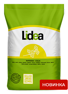 Насіння озимого ріпаку КС Калкулаті КЛ Lidea