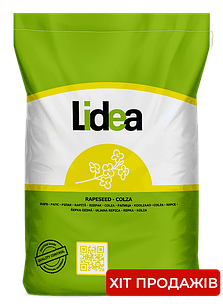 Насіння озимого ріпаку Талел КЛ Lidea