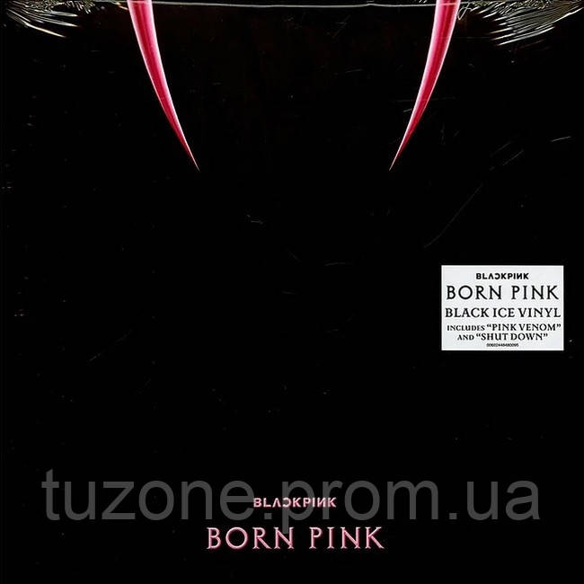 その他 BLACKPINK BORNPINK LP 楽天市場】【9/16 韓国発売】【予約販売】BLACKPINK ブラック