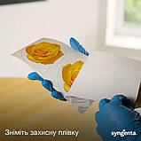 Ефективні наклейки від мух на вікна, засіб Outcast без запаху та інсектицидів, на весь сезон, 4шт х 5 г, Syngenta, фото 2