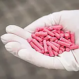 Родентицид Талон гранули 100 г Syngenta, фото 4