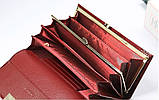 Гаманець жіночий шкіряний лаковий з тисненням під крокодила (червоний), фото 6