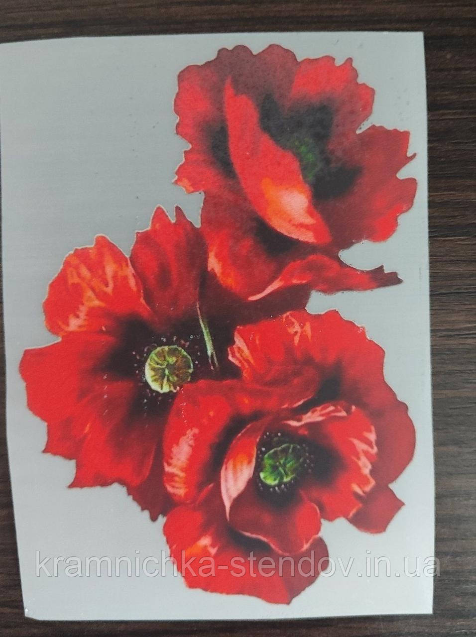 Термонаклейка на одяг, фото 1