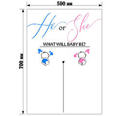 Написи на лист пінокартону (500х700мм) - He or She?