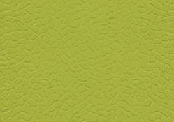 Спортивний лінолеум LG Sport Leisure 4.0 Solid / Green LES6601