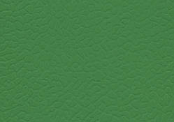 Спортивний лінолеум LG Sport Leisure 4.0 Solid / Dark Green LES6606
