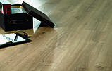 Вінілова плитка клейова IVC ULTIMO SUMMER OAK 24244, фото 3