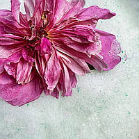 Силикагель для сушки цветов Flowers In, мелкая фракция, уп. 500 мл. Влагопоглотитель