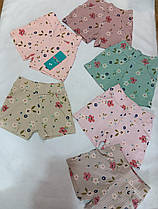 Шорти для дівчат р 5-8 років рубчик принт