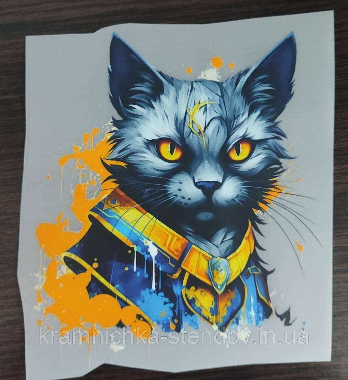 Термонаклейка на одяг, фото 1