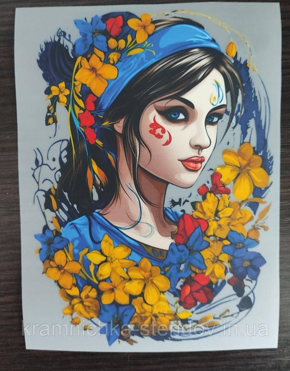 Термонаклейка на одяг, фото 1